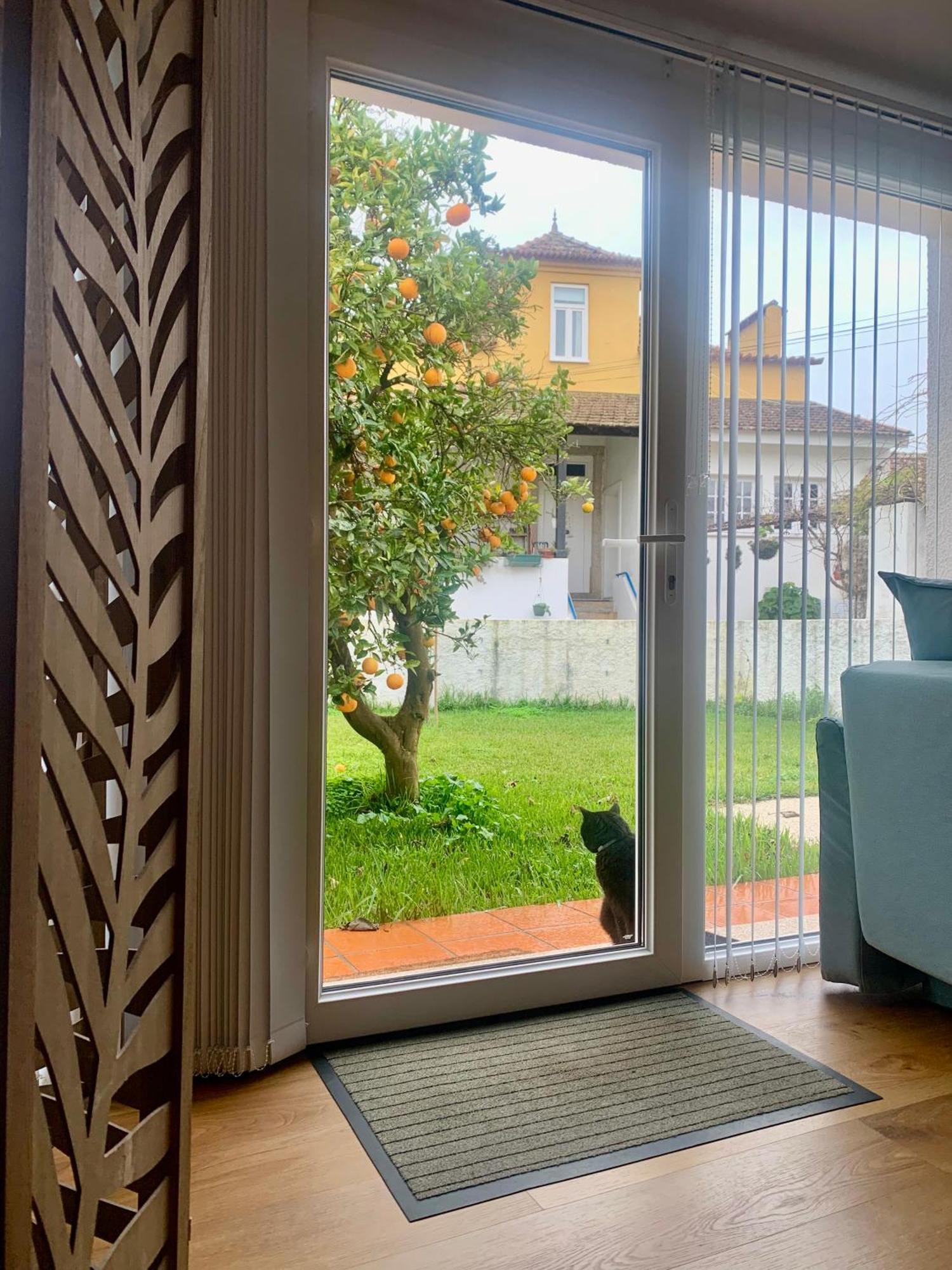 Casa Do Paco Aveiro Studio&Rooms Dış mekan fotoğraf