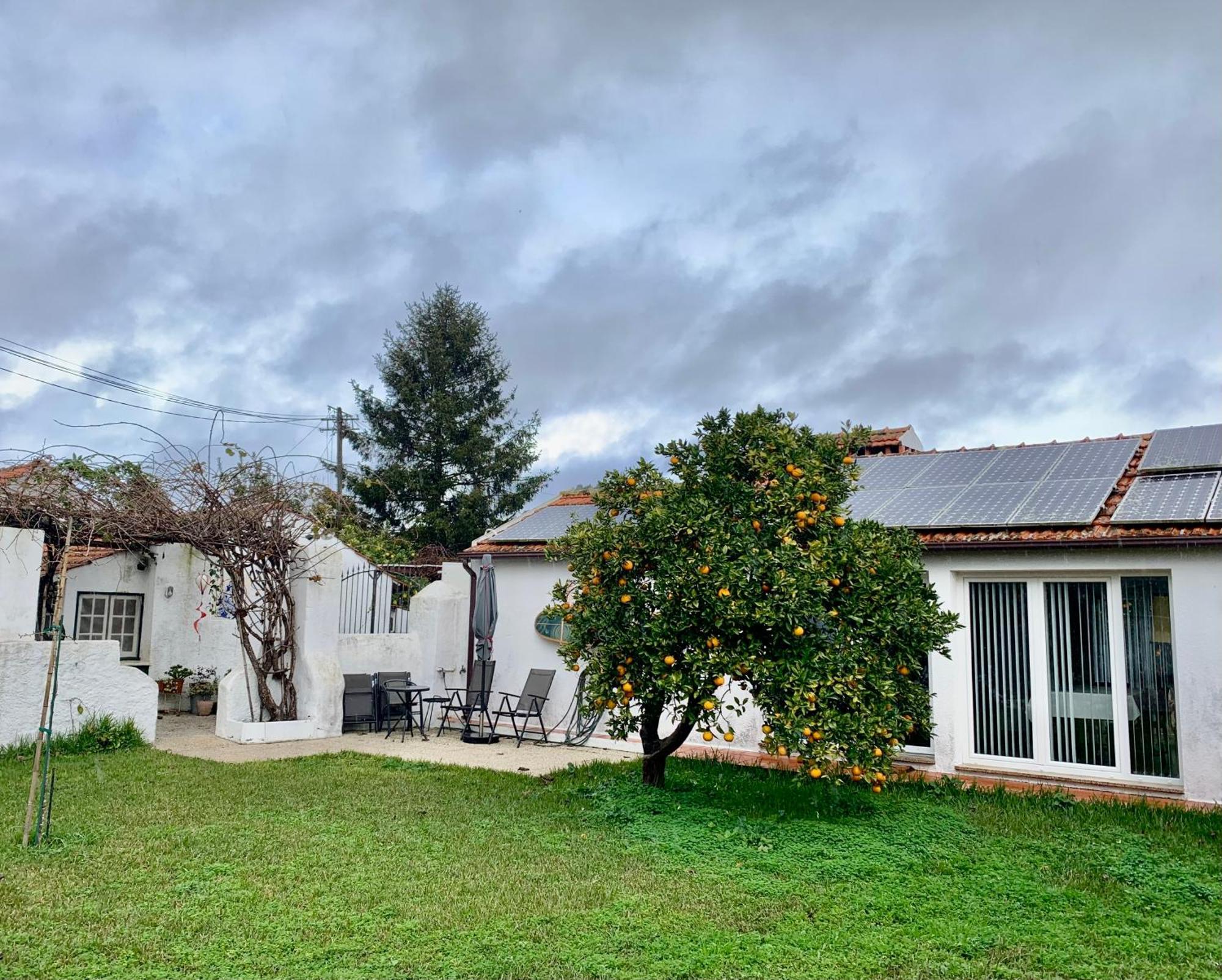 Casa Do Paco Aveiro Studio&Rooms Dış mekan fotoğraf